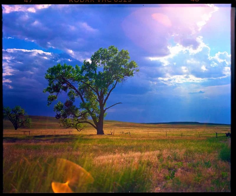 120 Medium Format Slide
